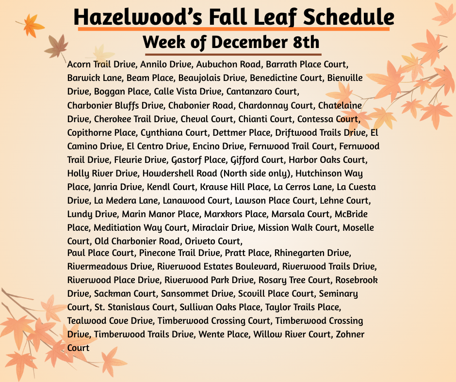 2025 Week 3 Leaf Collection