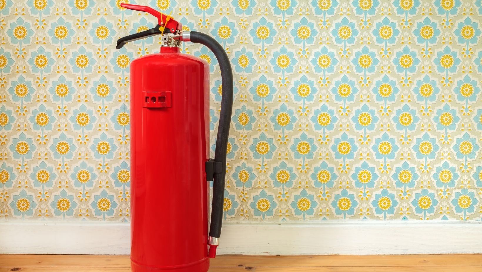 Website Fire Ext First Page